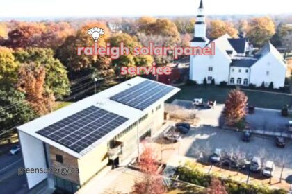 raleigh solar panel service