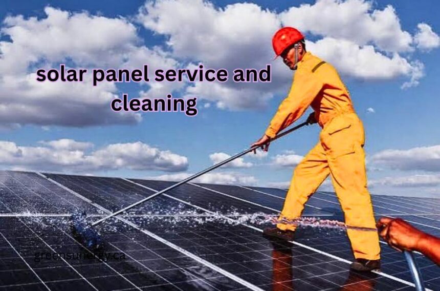solar panel service and cleaning